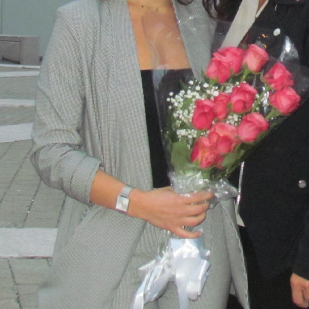 Babaton power blazer suit